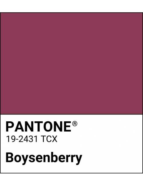 Wonderwoman