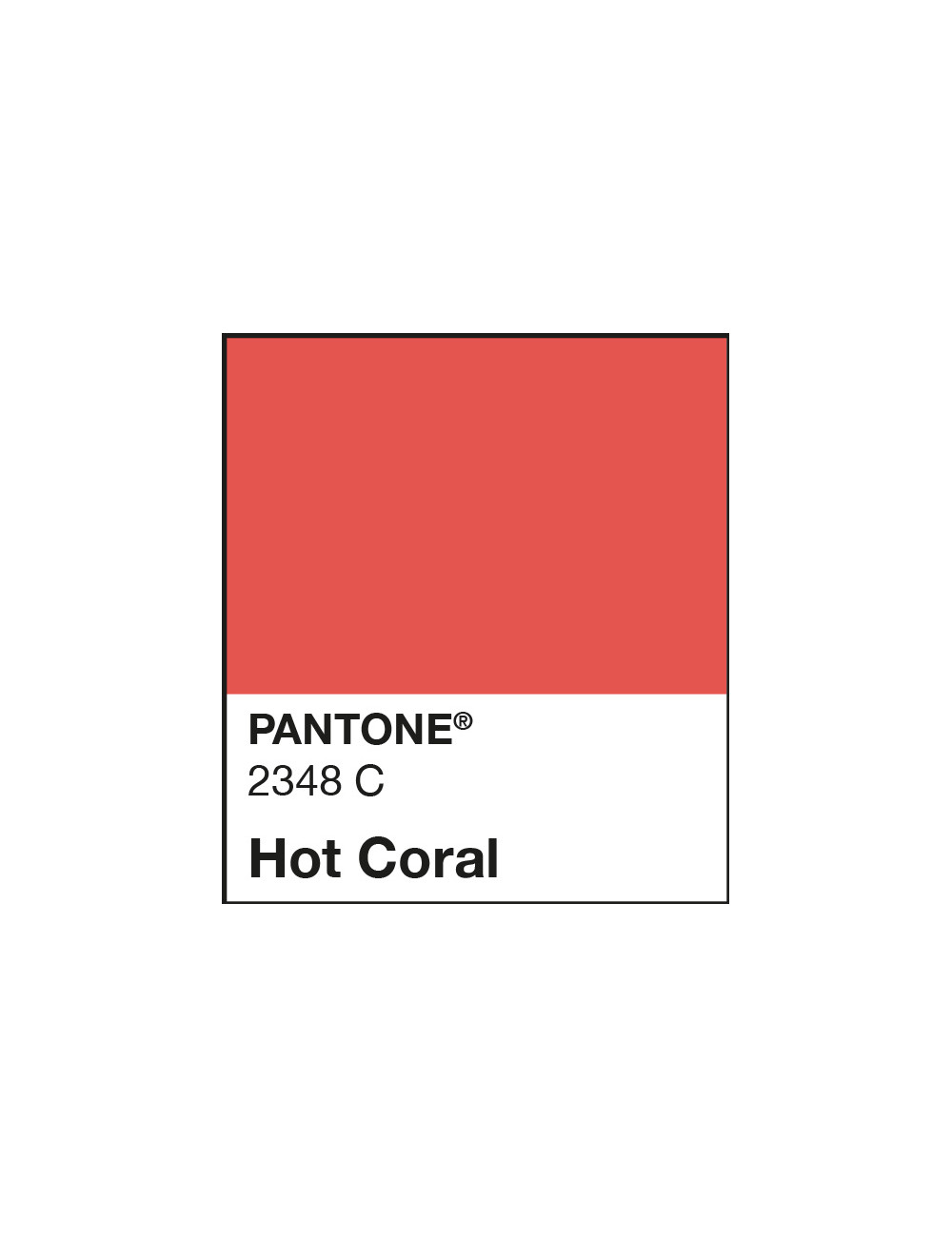 Rossetto liquido personalizzato