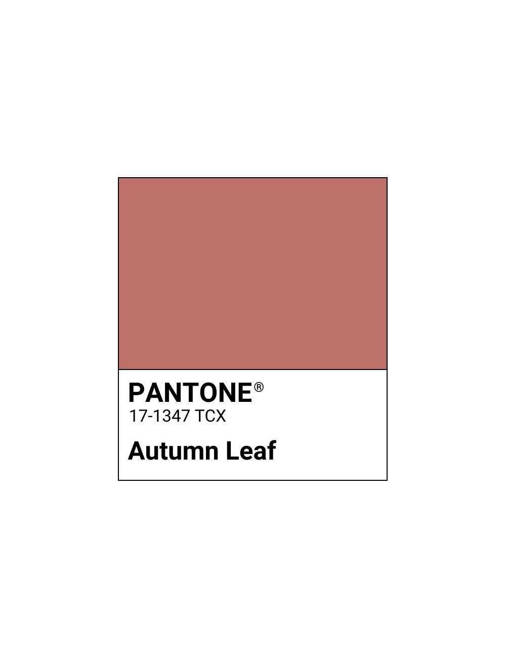 MAMI AUTUMN LEAF