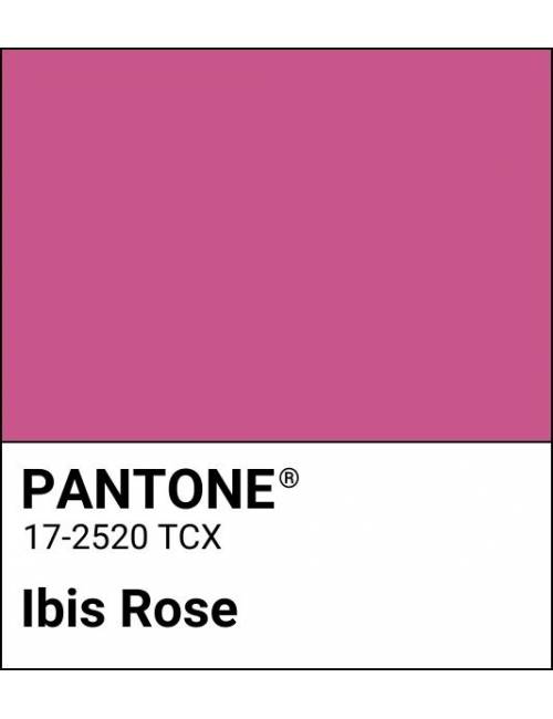 WONDERWOMAN IBIS ROSE