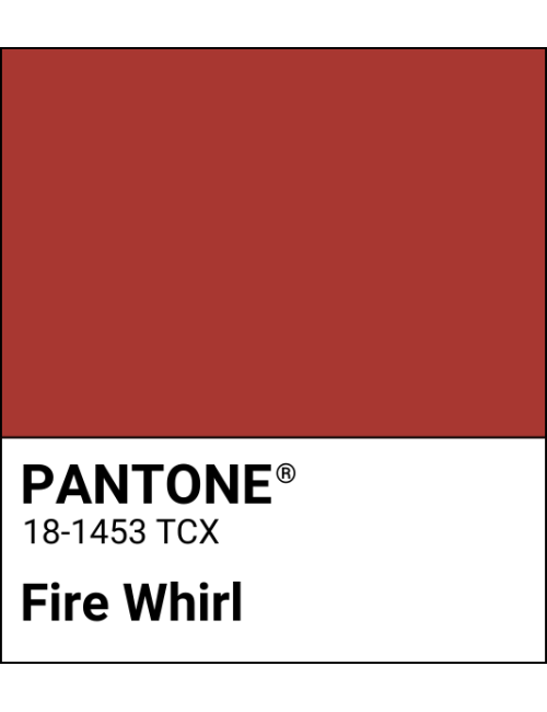 Rossetto liquido My Perfect Shade - Fire Whirl