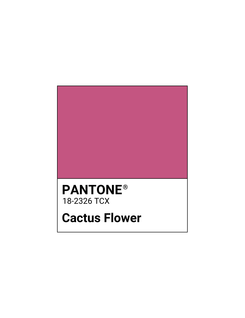 Rossetto My Perfect Shade - Cactus Flower