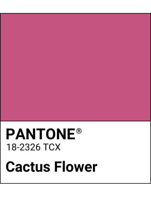 Rossetto My Perfect Shade - Cactus Flower