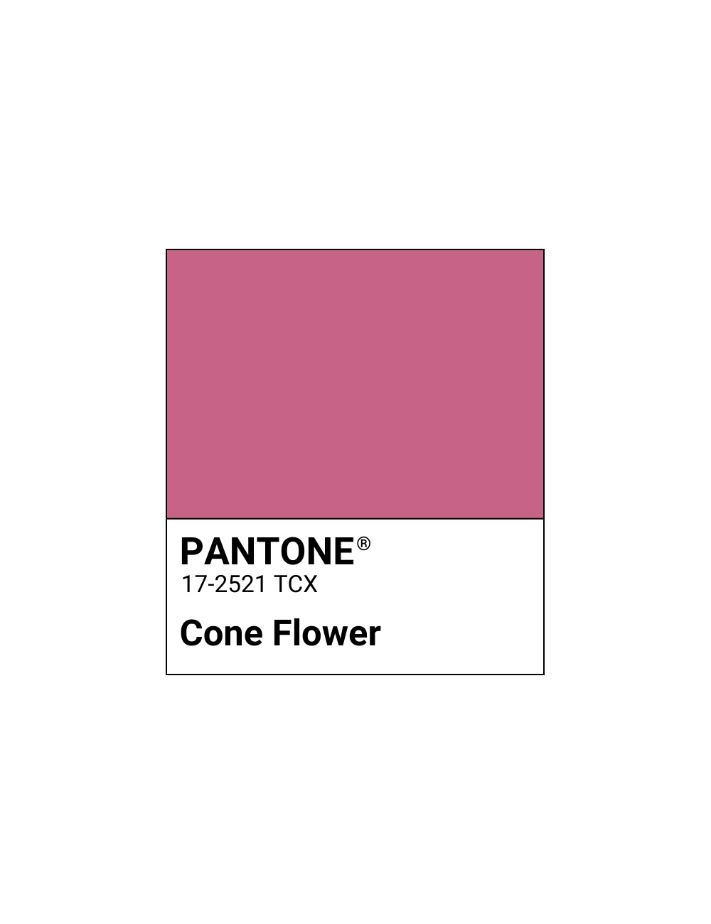 Rossetto My Perfect Shade - Cone Flower